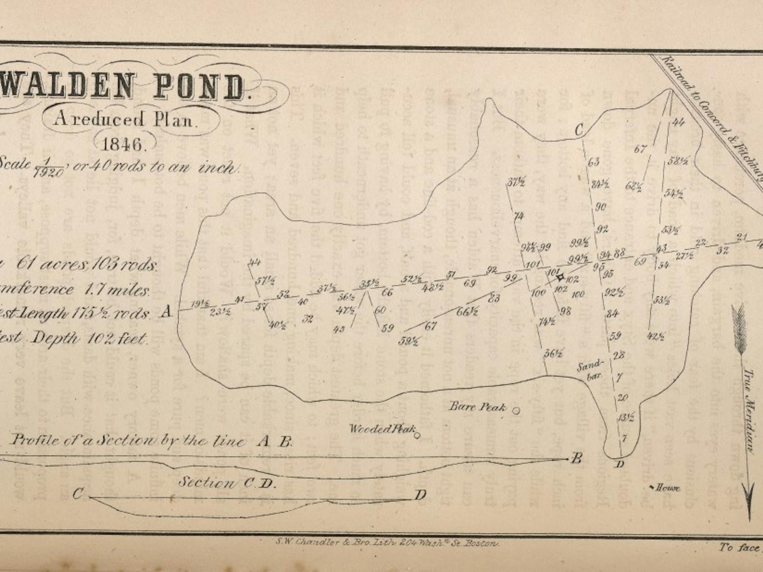 Henry David Thoreau's drawing of Walden pond is just one of many cool documents within the Rubenstein Library.