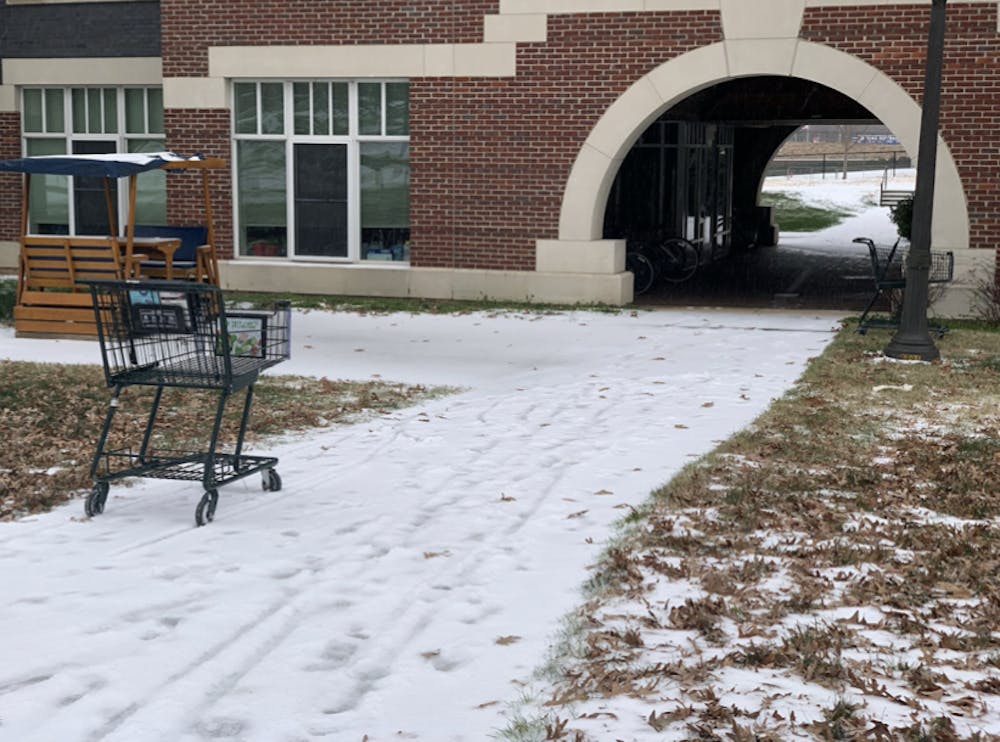 The shopping carts used as sleds.