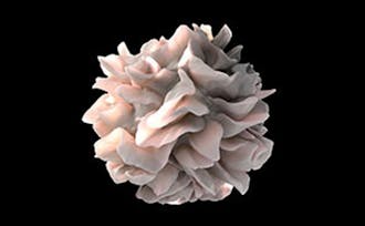 Artistic rendering of a dendritic cell