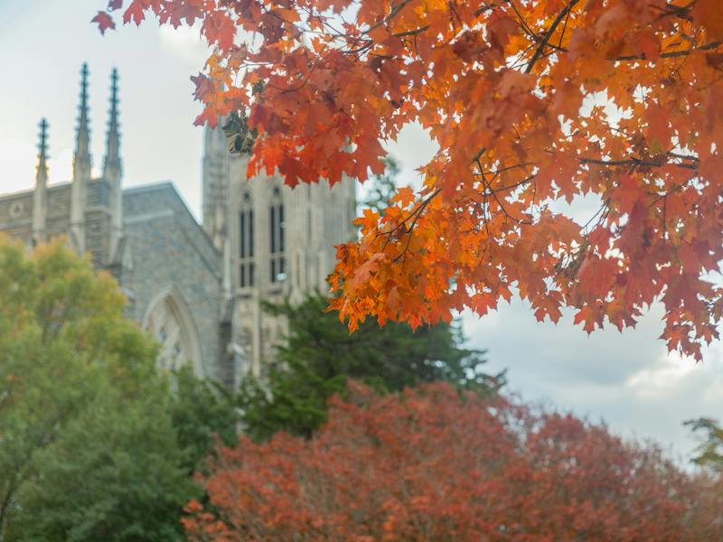 The Chronicle's guide to fall break on campus and around Durham - The ...