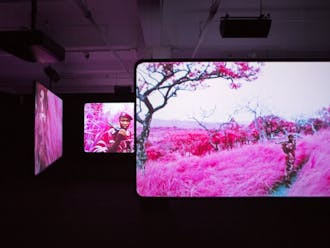 Richard Mosse’s video “The Enclave” highlights the experiences of those living in war-torn countries. The video is 40 minutes long in its entirety and located in the back right pavilion.