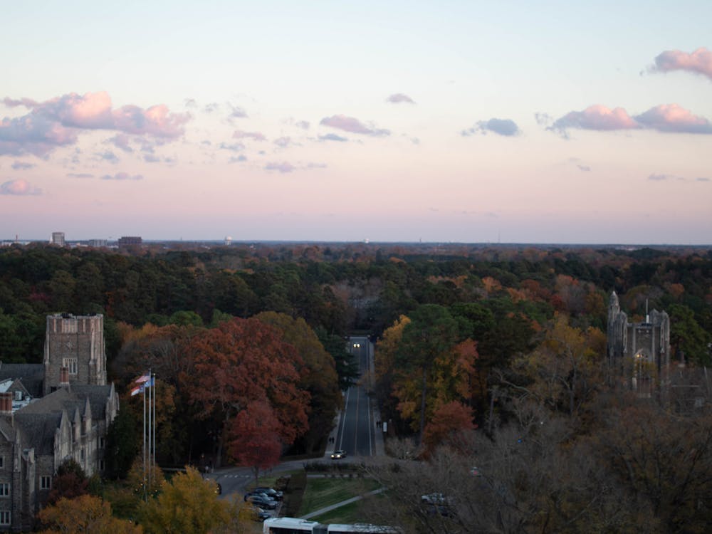 <p>The view from the chamber in the Duke Chapel tower where the carillon's bells hang on Nov. 18, 2021.</p>