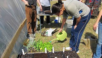 Duke professors are encouraging students to get involved with the on-campus sustainable farm. Students in Markets and Management Studies 170 developed a marketing plan for the farm as a final project.