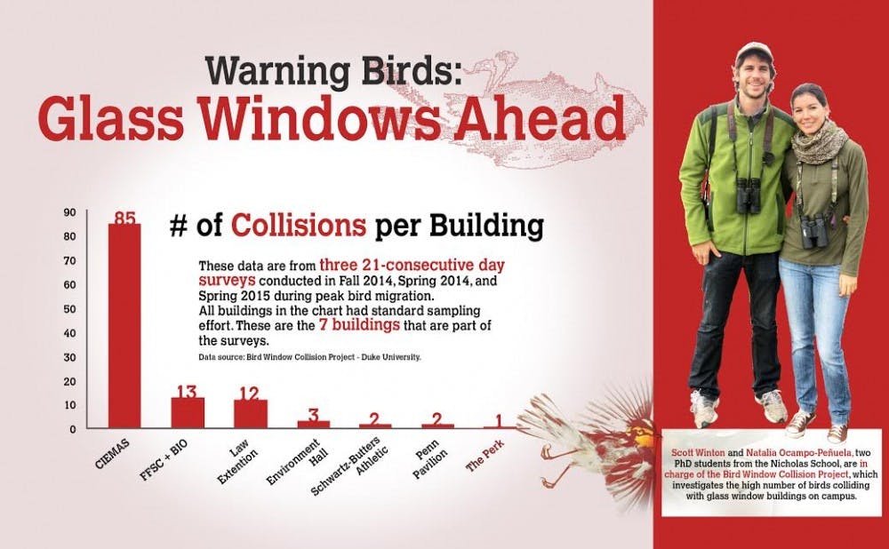 The Bird Window Collision Project found that Duke's bird safety is one of the worst in the United States.