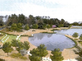 A new water reclamation pond on Circuit Drive, which will serve both functional and recreational purposes, will collect rainwater to be used at the on-campus Chilled Water Plant. The pond, still in the planning stages, will cost the University $9 million.
