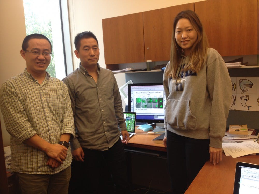 <p>The lab of engineering professor Lingchong You (middle) has developed a method for producing "swarmbots," an engineered bacterial strain&nbsp;that dies outside of its colony.</p>