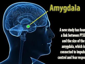A new Duke study has found a link between post-traumatic stress disorder and a smaller amygdala, which controls fear and impulse in the brain.
