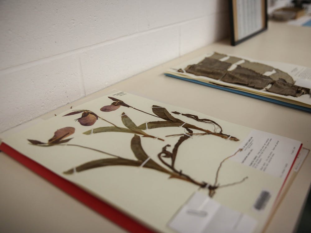 230207 Herbarium WinnieLu-4.jpg