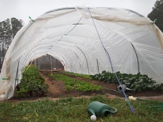 The Duke Campus Farm, which just celebrated its first full year of operation, has generated approximately 5,000 pounds of produce.