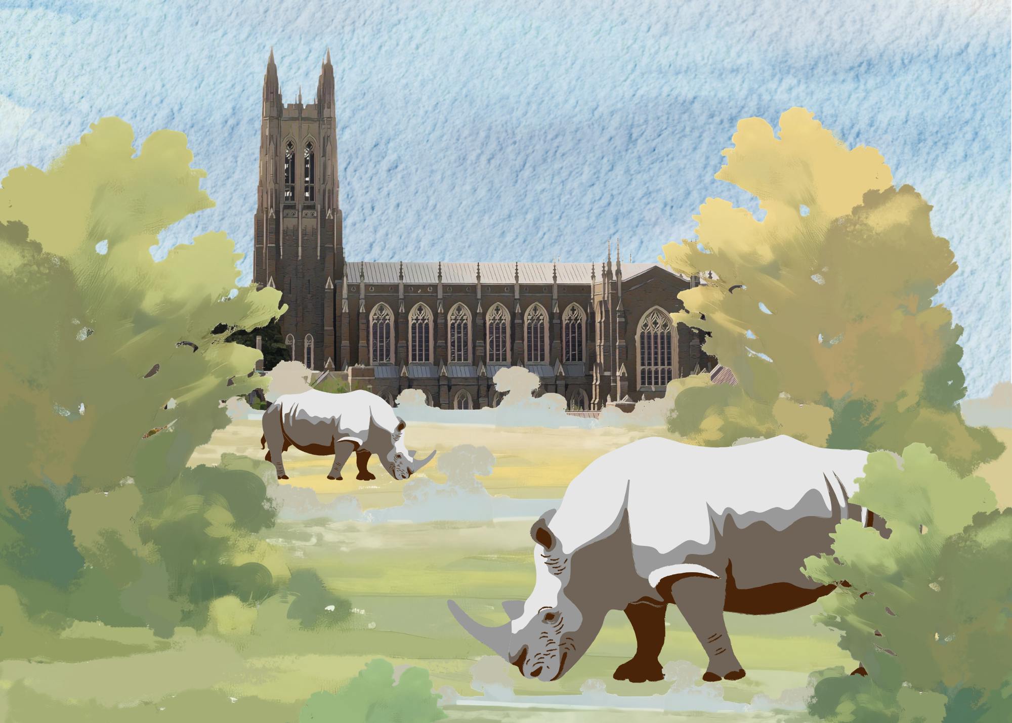 Nicholas School, conservation NGO study rhino rewilding across Africa ...