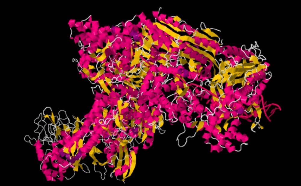 <p>The Cas-9 protein that is part of the CRISPR gene editing system has been called revolutionary because of its potential impacts in treating diseases.</p>