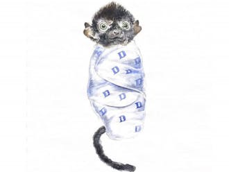Blue-eyed black lemur sketch