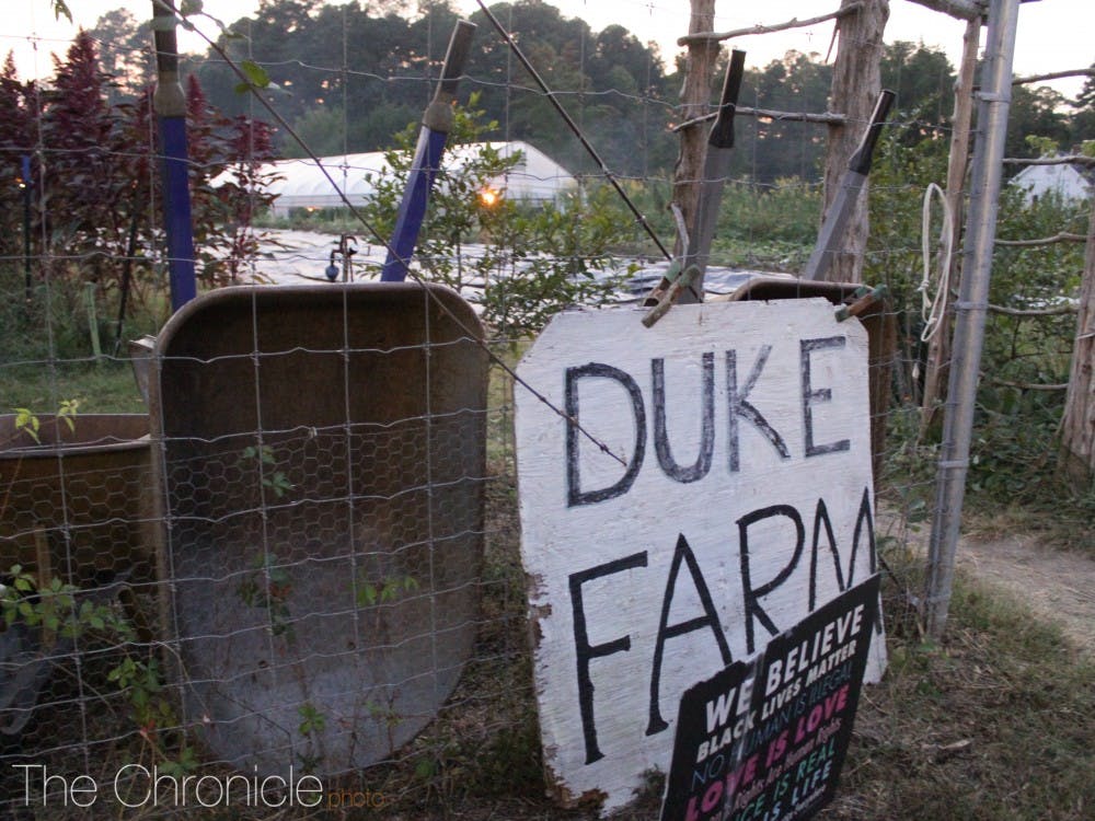 <p>During Spring break, a 'Restorative Spring Break' program is hosted at the Duke Farm.</p>