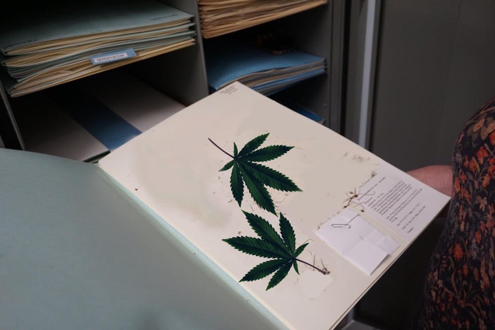 chomicle herbarium dispensary.jpeg