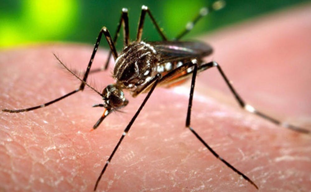 <p>Duke has already issued Zika virus guidelines for students who might study in areas affected by the virus, which is spread by mosquitoes.</p>