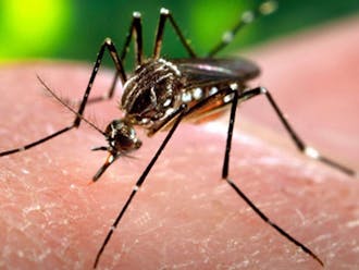 Duke has already issued Zika virus guidelines for students who might study in areas affected by the virus, which is spread by mosquitoes.