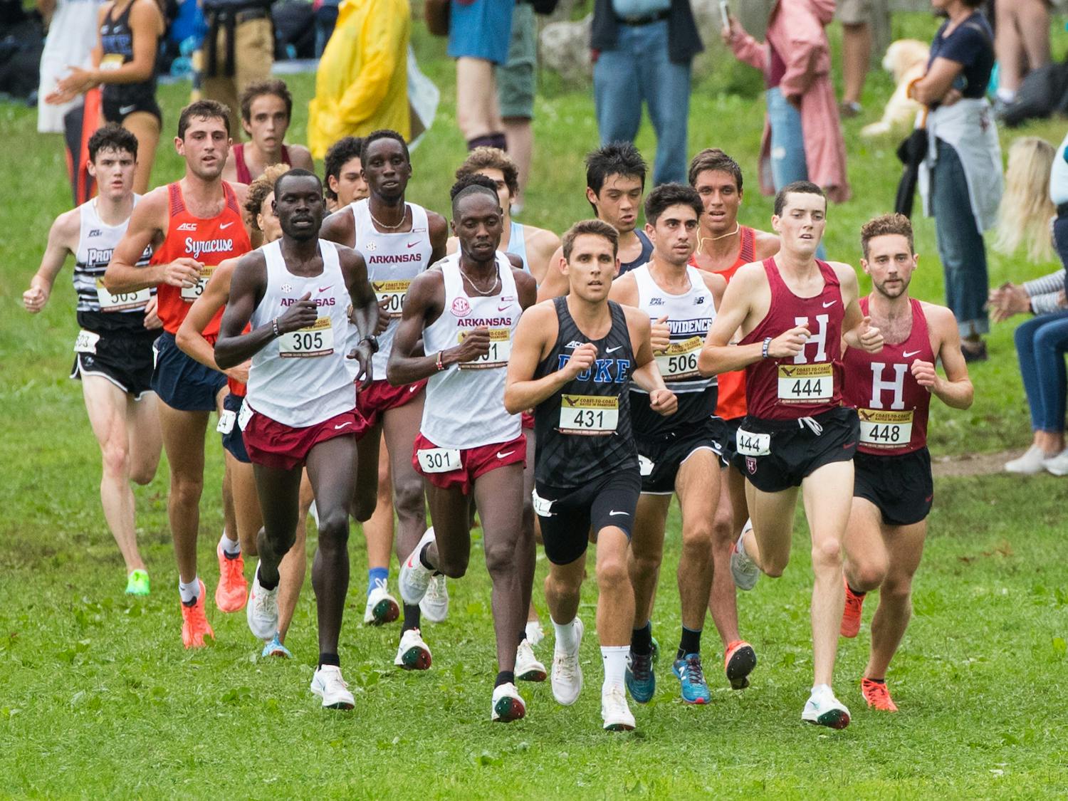Graduate student CJ Ambrosio (center) led the Blue Devil men with an 11th-place showing in the eight-kilometer race.