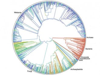 The most comprehensive map of biological evolution ever made features more than 2.3 million species.