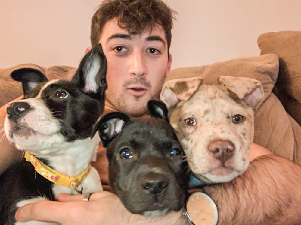 <p>During the spring semester, senior Tyler Meier decided to foster three puppies at once.</p>