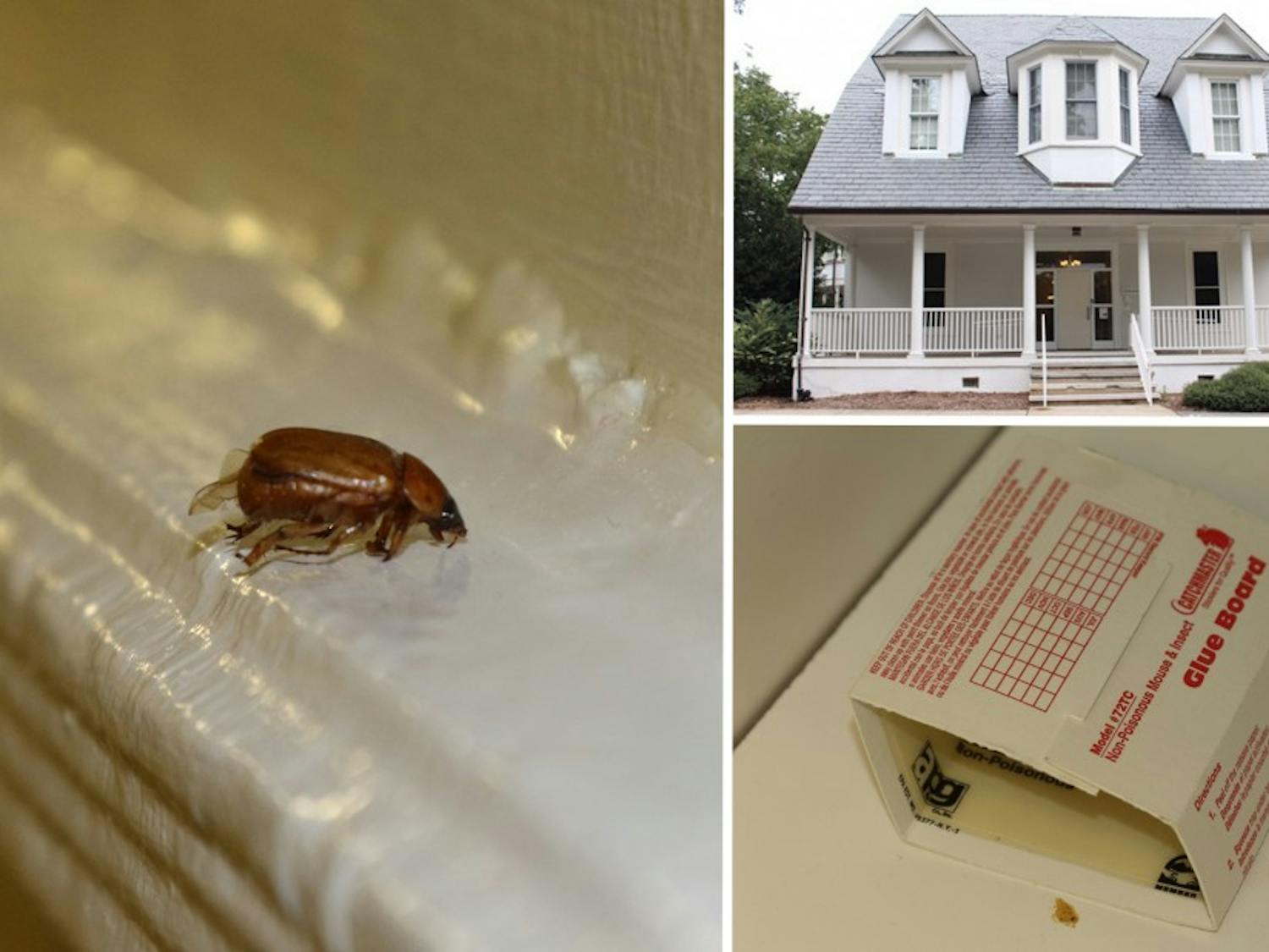 Epworth residence hall on East Campus will be closed during Fall Break for insect&nbsp;extermination.