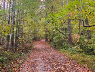 While the Duke Forest is a great place to adventure on weekends, the Al Buehler Trail is an exceptional spot for a mid-week restart.