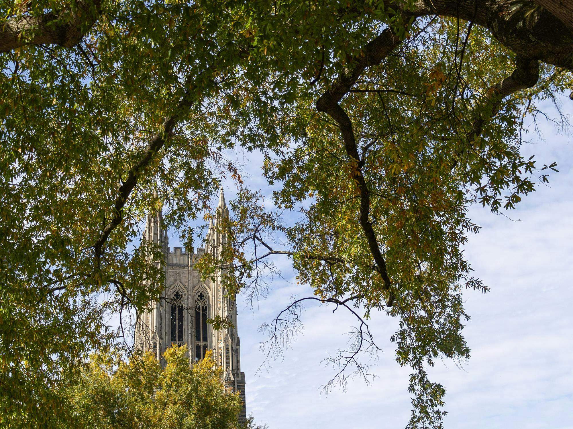 Duke announces finalized ‘inclusive excellence’ principles - The Duke ...