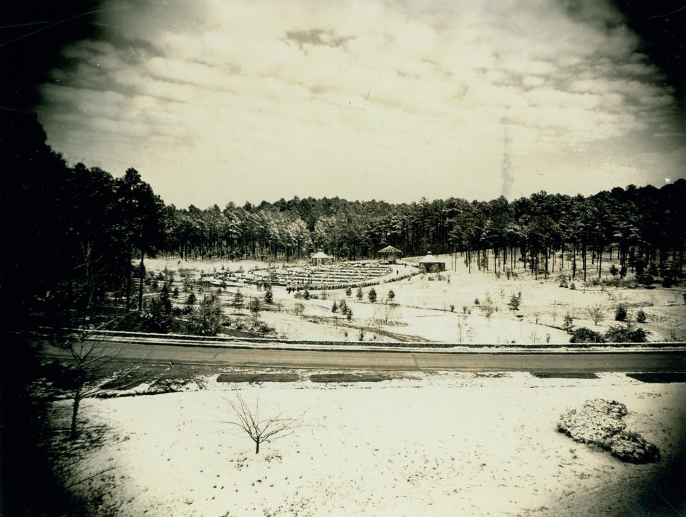 Sarah P. Duke Gardens, Terraces in snow, 1938