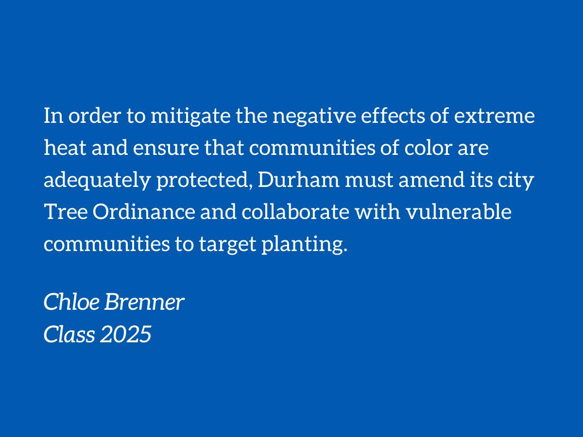 Durham must address the urban heat island effect and equity in its development ordinances - Vimarsana News