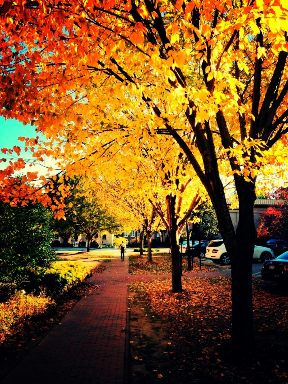 	<p>Strolling along this, with the leaves brushing past you in the breeze and a hot cup of something spiced clutched tightly in your hand, warming you inside and out — that is the paragon of fall living.</p>