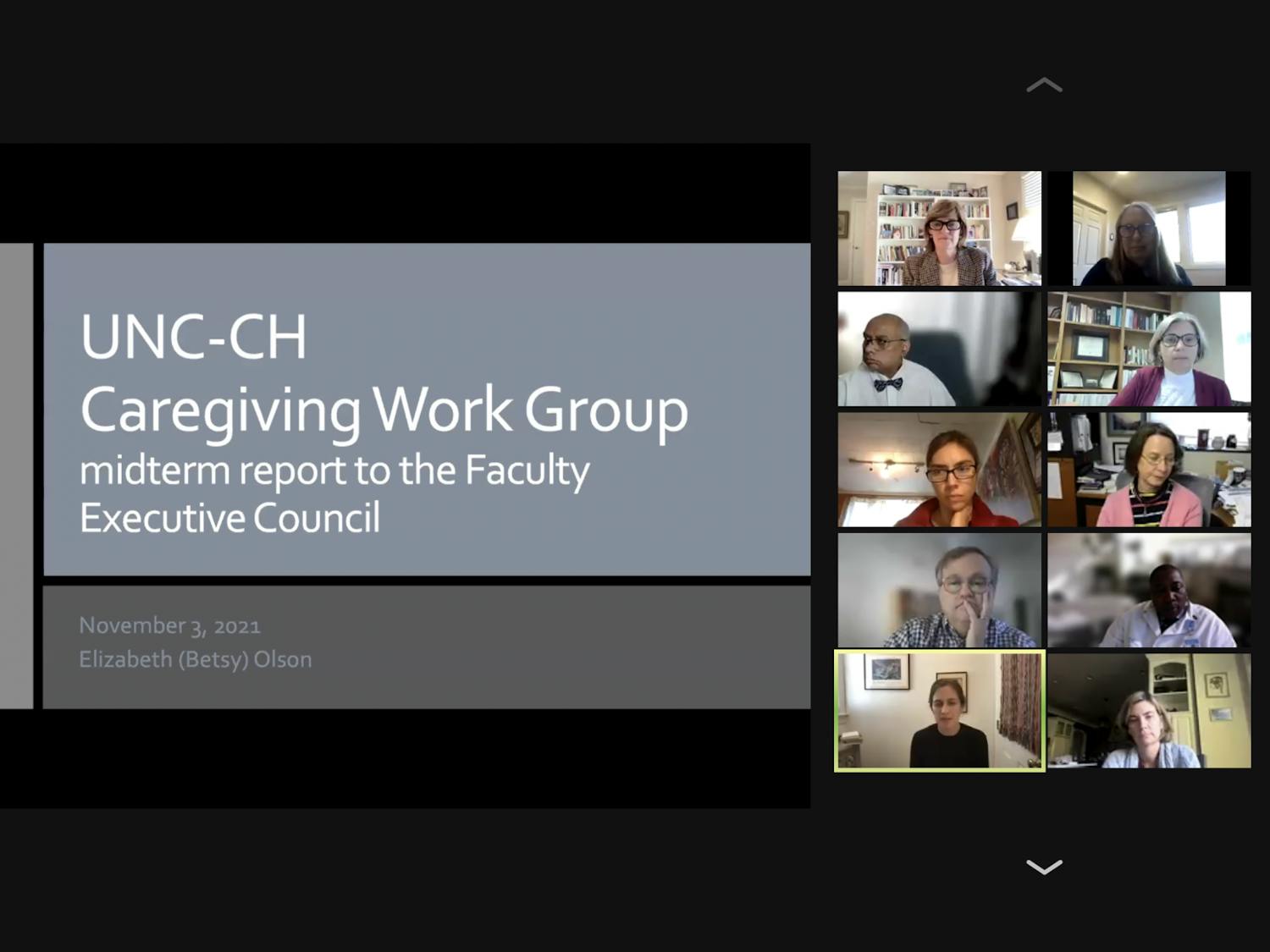 Screenshot of the Faculty Executive Council meeting on Nov. 1.