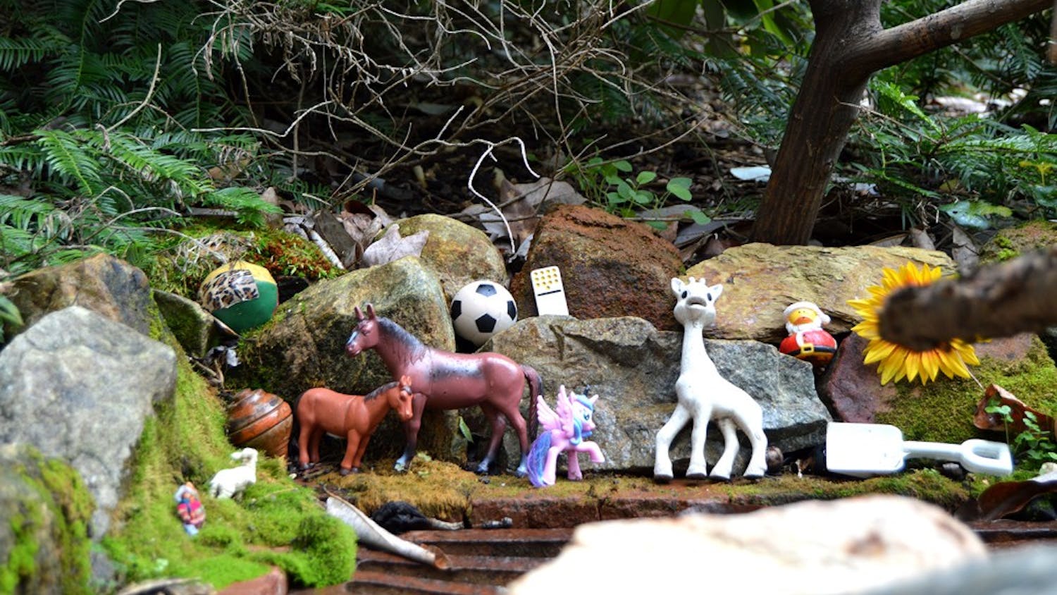 The Island of Misfit Toys, located in the Coker Arboretum, is a collection of abandoned toys found in the Arboretum and collected by the Arboretum staff.