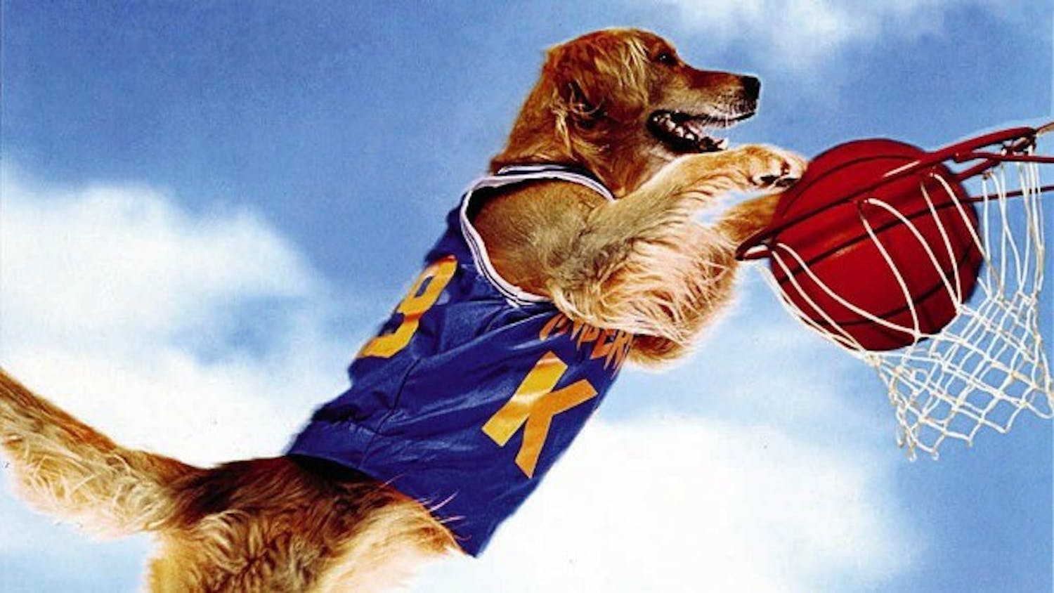 Air Bud is probably the best basketball player of all time.Photo taken from&nbsp;Disney Wiki