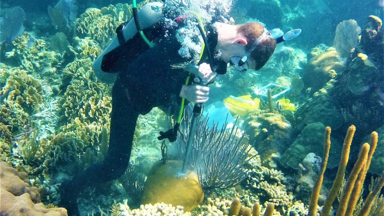 Justin Baumann drills a coral core in Belize. Photo by Hannah Aichelman.
