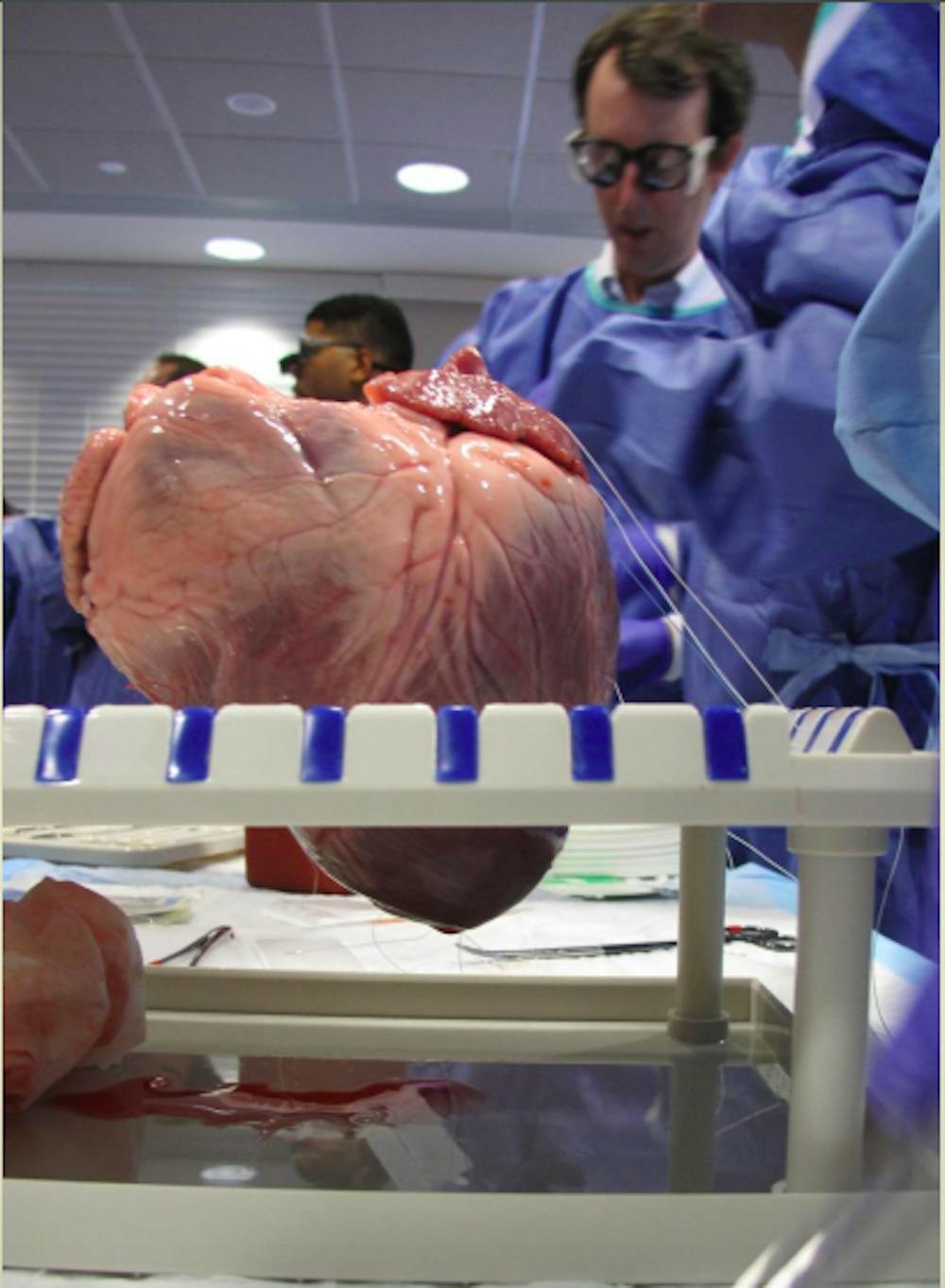 <p>2017 TSDA Bootcamp where heart simulators were practiced on. Photo courtesy of Andy Grubbs.&nbsp;</p>