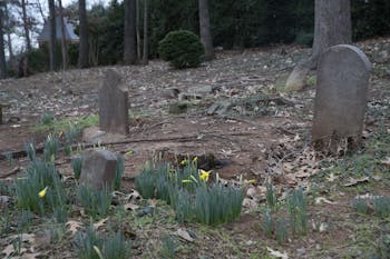 The Christopher and William Barbee Family Cemetery pictured on Jan. 24, 2020. The cemetery was active in the 18th and 19th century and where William Barbee and his relatives were buried. Nearly 100 enslaved people are buried in unmarked graves.