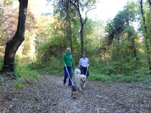 Melissa Teitelman and Stacey Markwell of Chapel Hill enjoy a walk with their dogs Middie and Hobbs on a trail in the Greene Tract Forest on Nov. 16, 2021.