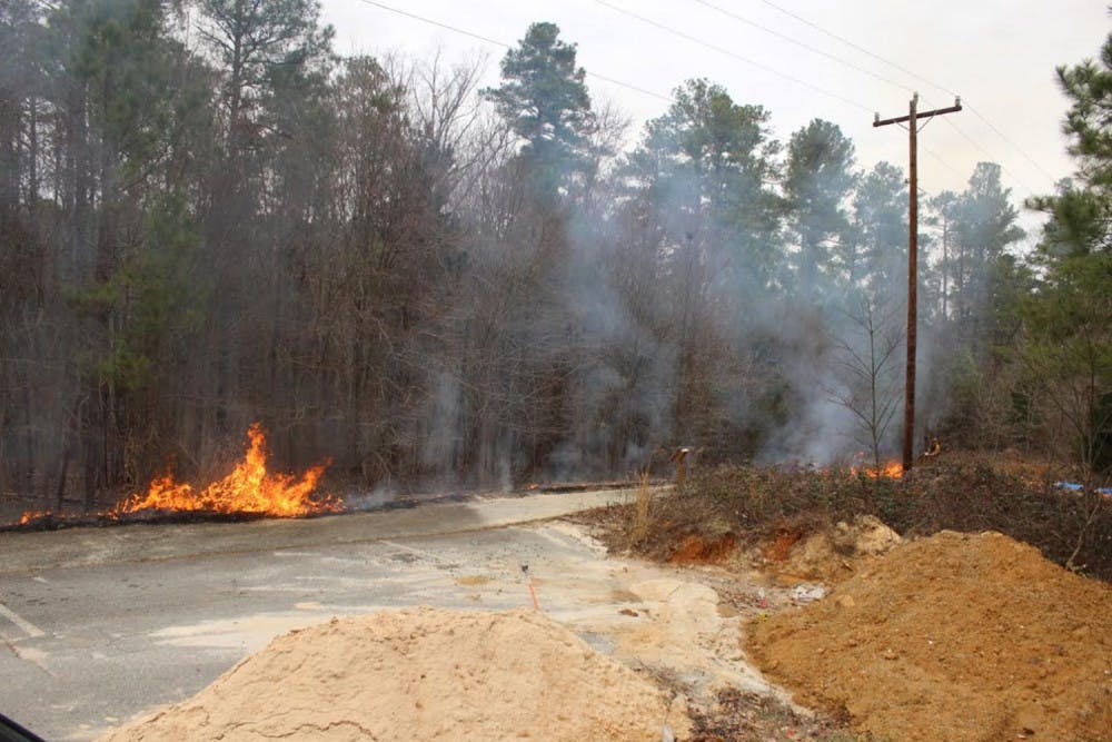 <p>The Chapel Hill Fire Department and the North Carolina forest service did a control burn on Thursday. Photo courtesy of Ryan Pecaut.&nbsp;</p>