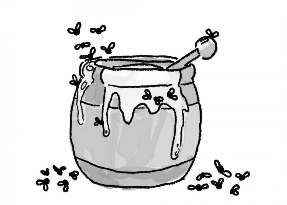 honey illustration