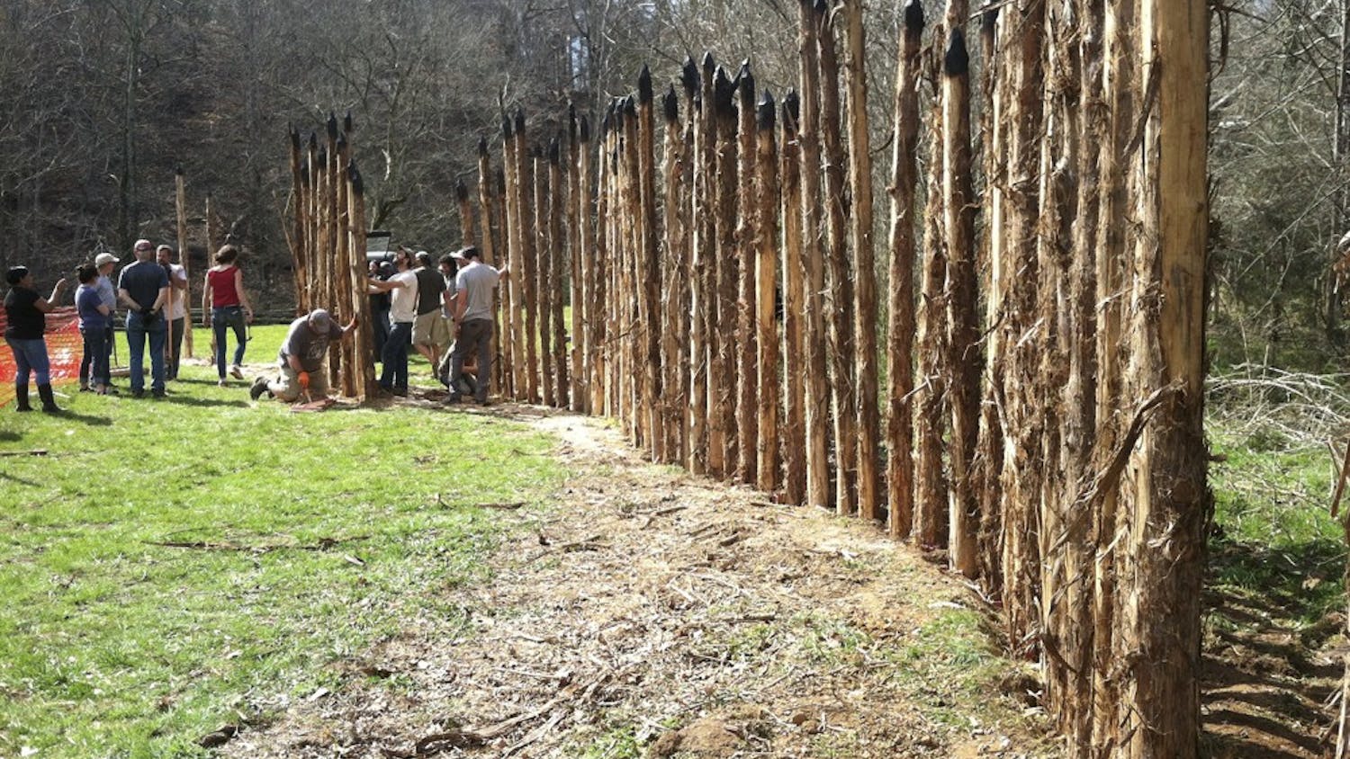 Volunteers help raise 100 cedar poles this past Saturday at the new Occaneechi Band of the Saponi Nation Replica Village in Hillsborough. 400 cedar poles will eventually surround the site by this summer. Photo Courtesy of Holly Reid.