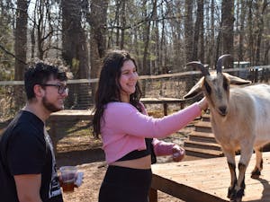 UNC alumni Camila Coronado and Jaime Guerra pet a goat at Spring Haven Farm on Saturday, Feb. 12, 2022.