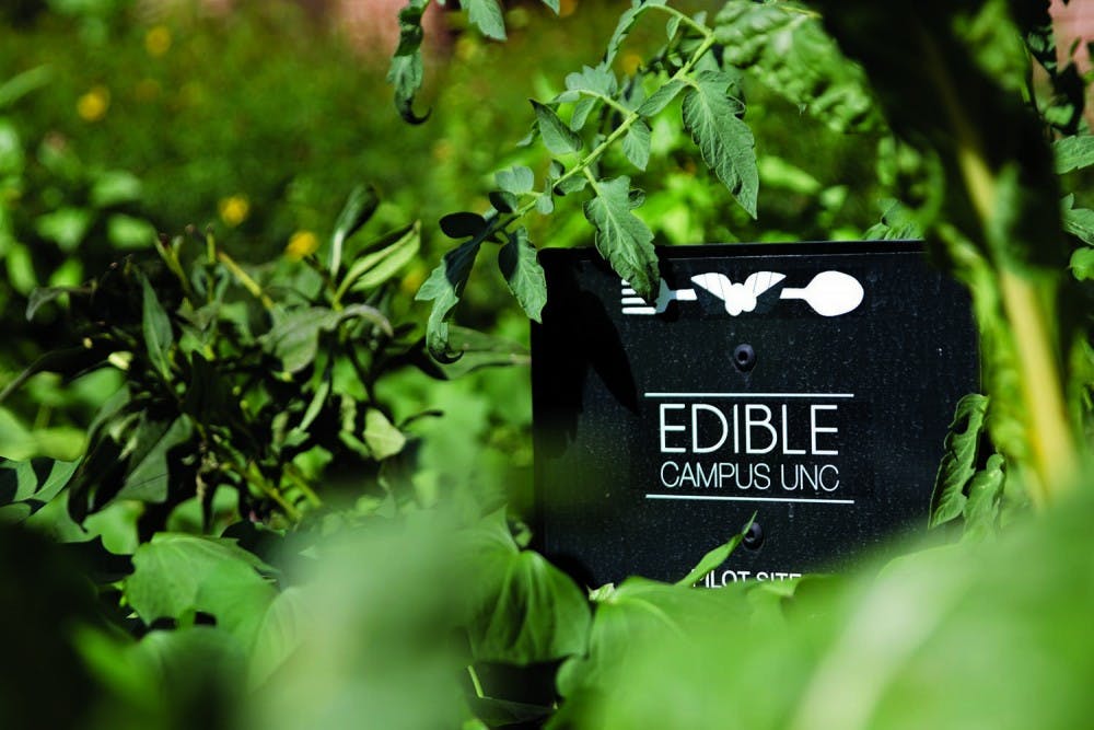 <p>Edible Campus, with one site in front of Davis Library, works to help students know where their food is coming from.</p>