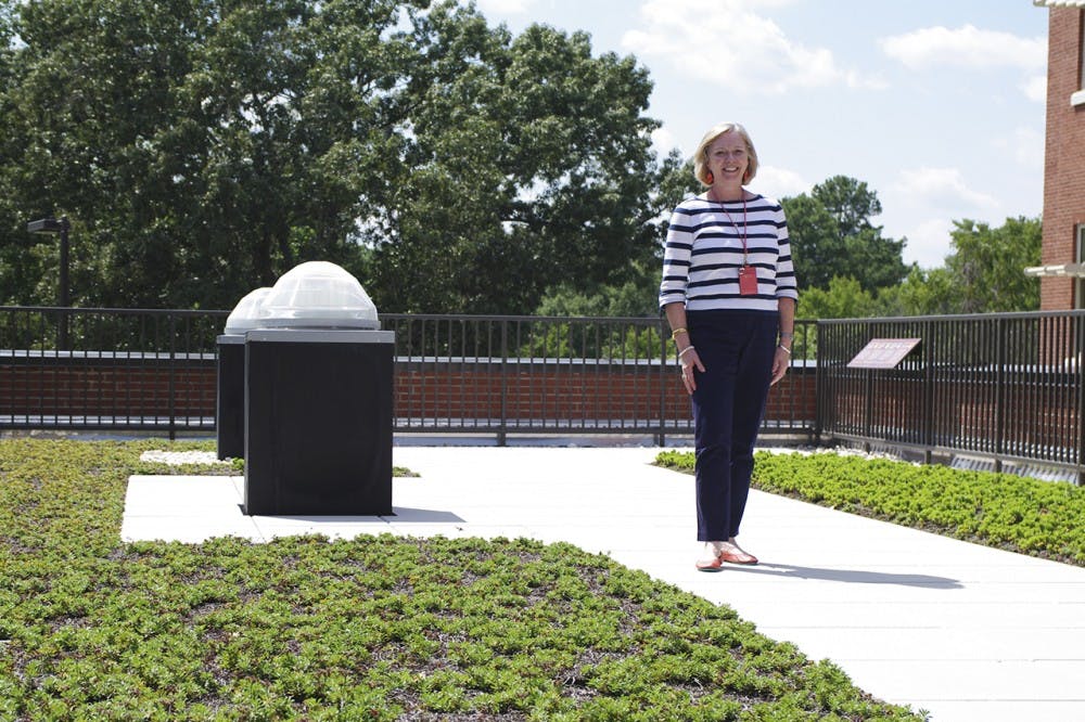 The principal of Northside Elementary,  Cheryl Carnahan, stood on the school's roof garden on August 14th, 2014. The garden contains several energy efficient features, including solar tubes and a rainwater cistern.