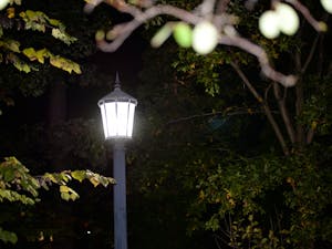 A streetlight on Franklin Street is pictured on Nov. 1.&nbsp;