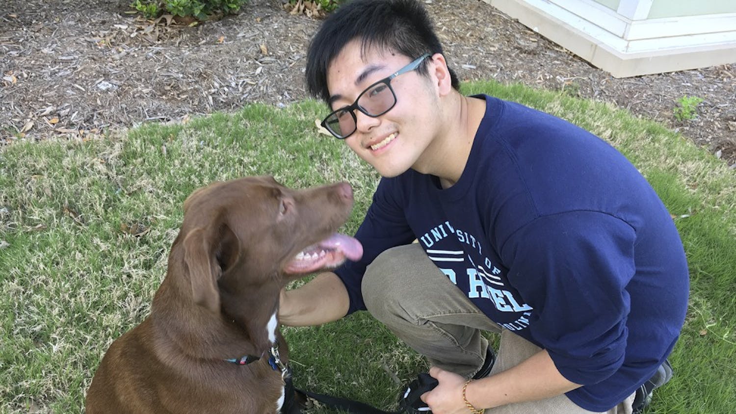 First-year Stephen Xiao owns eight-month-old chocolate lab mix Darcy, who has a special talent for peeing everywhere. Darcy’s favorite game is tug of war.&nbsp;