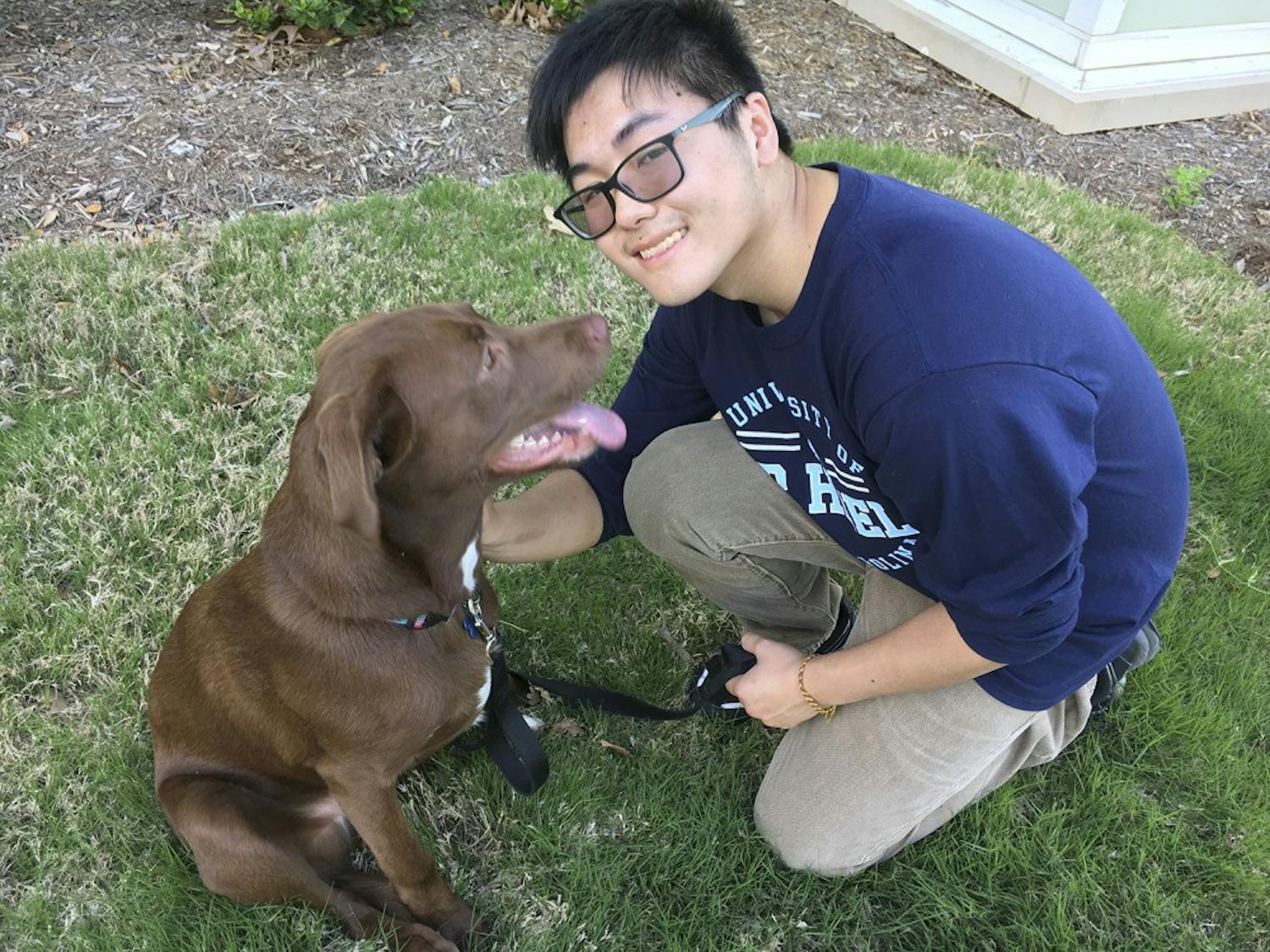 First-year Stephen Xiao owns eight-month-old chocolate lab mix Darcy, who has a special talent for peeing everywhere. Darcy’s favorite game is tug of war.&nbsp;