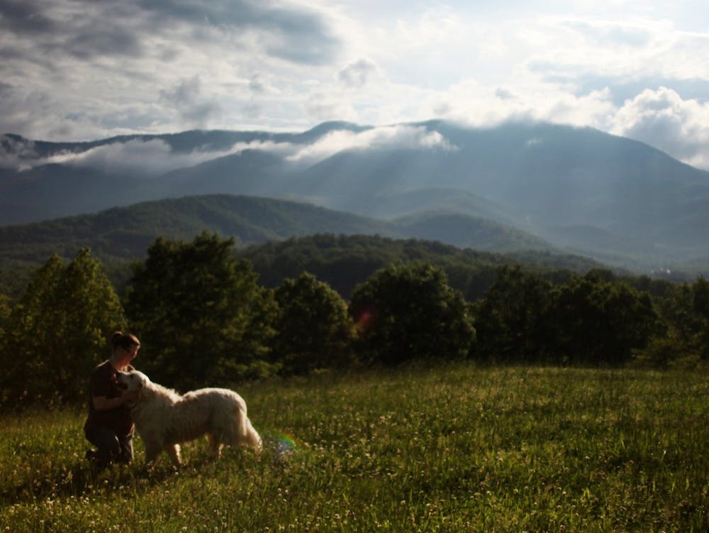	Natalie Quirk, a former intern and farm manager of Mountain Farm in Burnsville, N.C., greets the resident sheepdog, Oscar, in the lavender field. The Carolina Photojournalism Workshop traveled to the area last May.  Courtesy of Margaret Cheatham Williams