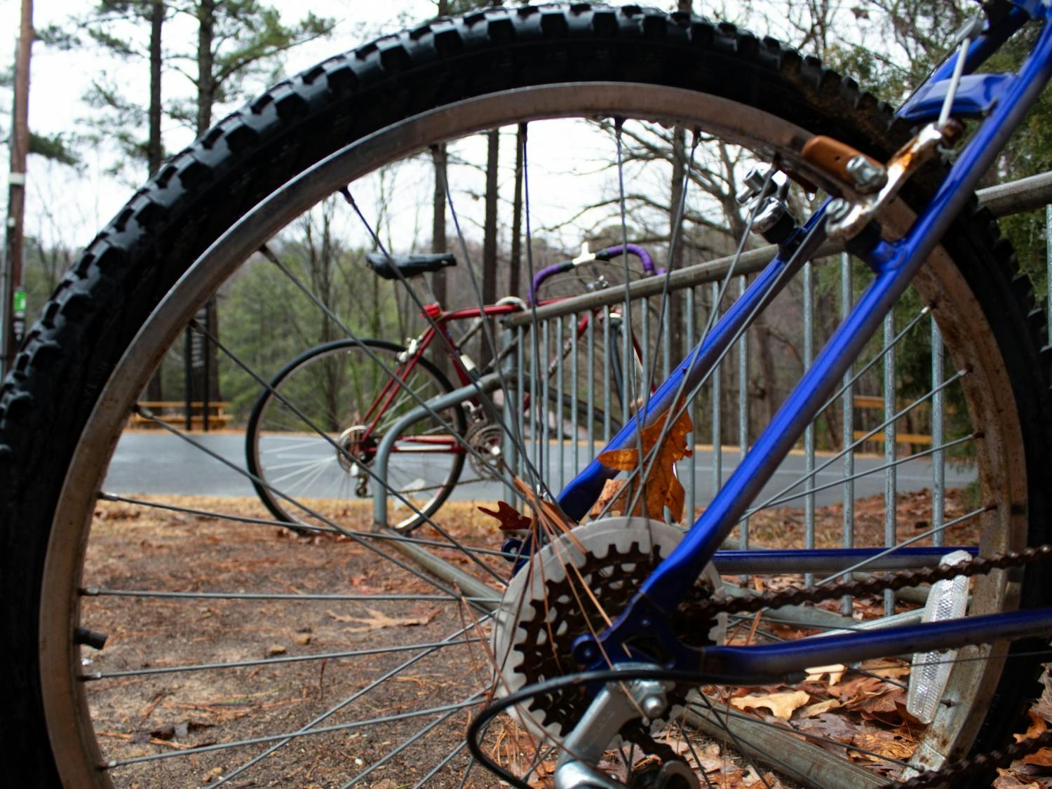 Bikes lined up at the UNC Outdoor Education Center on Feb. 7, 2022 wait for a less rainy day to be taken out.
