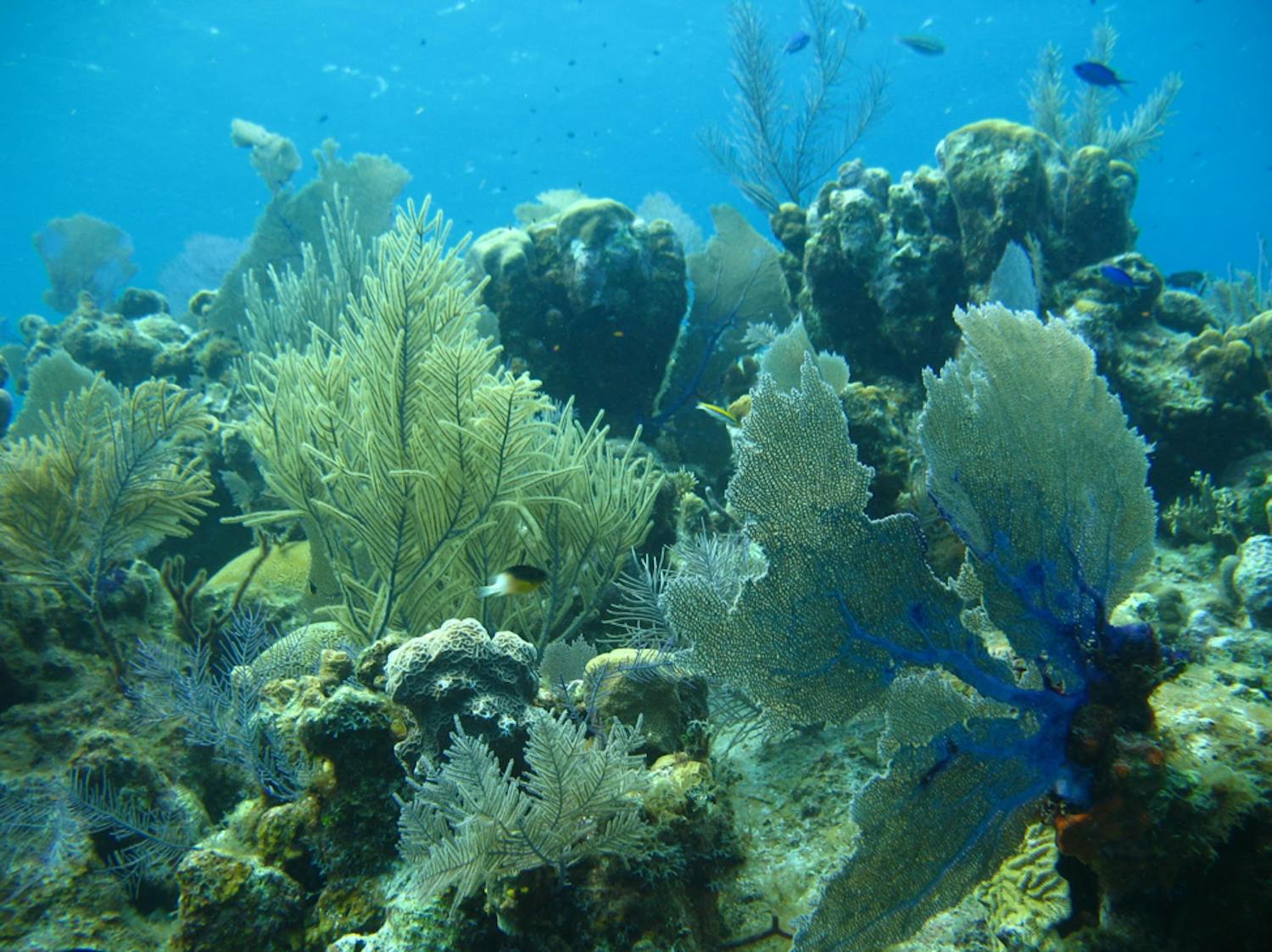 ocean-warming-research