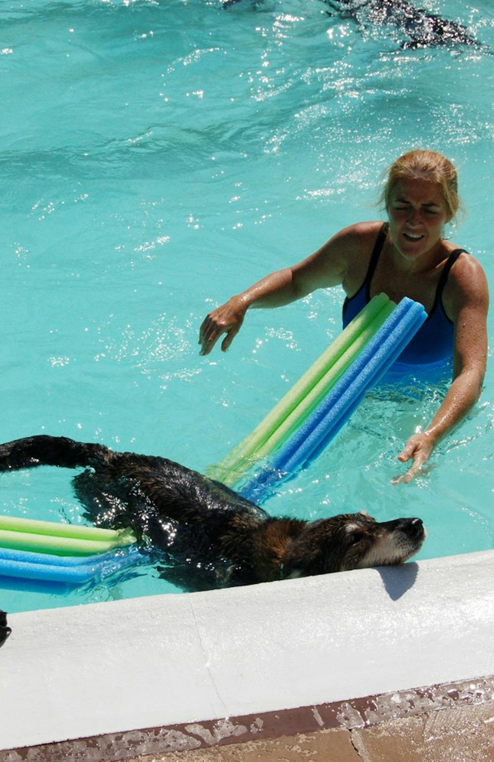 Tracy Kelly of Chapel Hill helps Polo, a 14-year-old mixed-breed, swim at A.D. Clark pool. Kelly and Polo have come to the dog swim for many years.