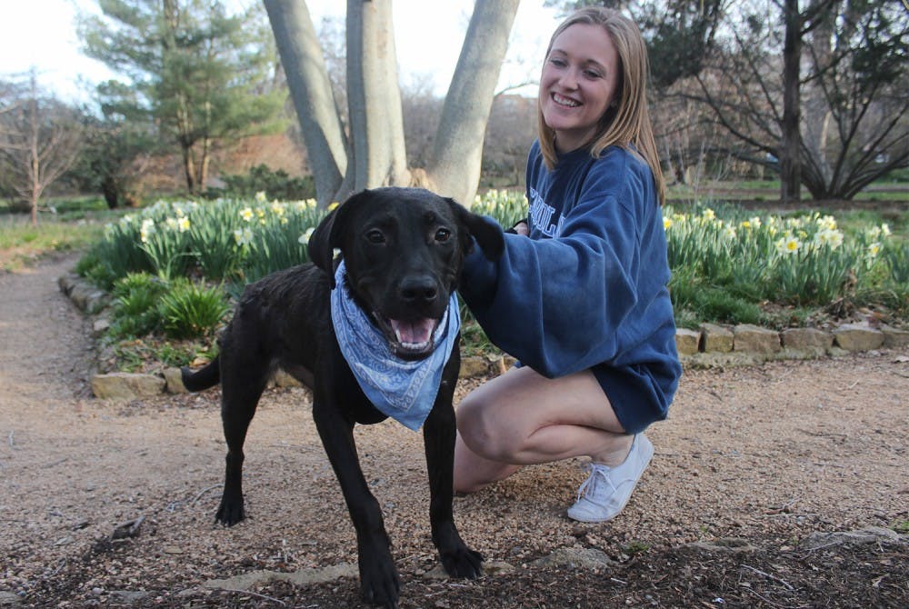 Sarah Leck, a junior majoring in photojournalism, plays with her 1.5 year old dog named Gracie, more often called "Dingus."